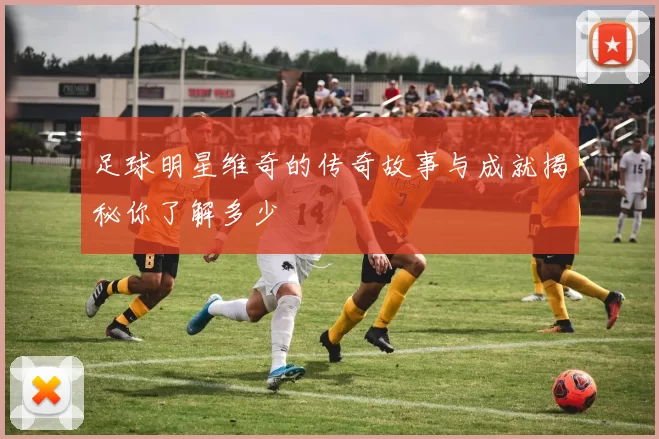 足球明星维奇的传奇故事与成就揭秘你了解多少