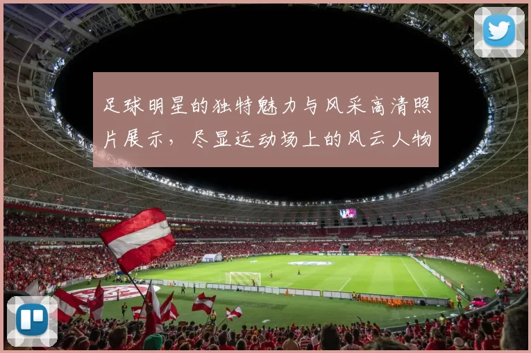 足球明星的独特魅力与风采高清照片展示，尽显运动场上的风云人物