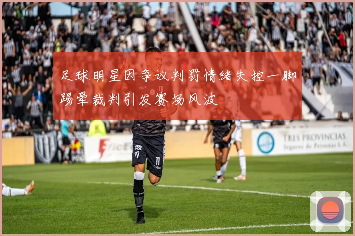 足球明星因争议判罚情绪失控一脚踢晕裁判引发赛场风波