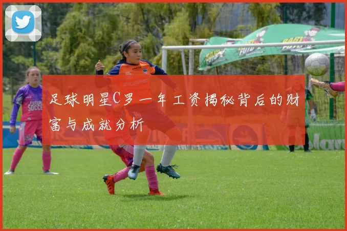 足球明星C罗一年工资揭秘背后的财富与成就分析