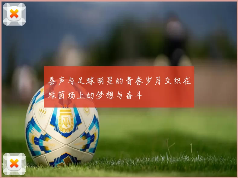 秦声与足球明星的青春岁月交织在绿茵场上的梦想与奋斗