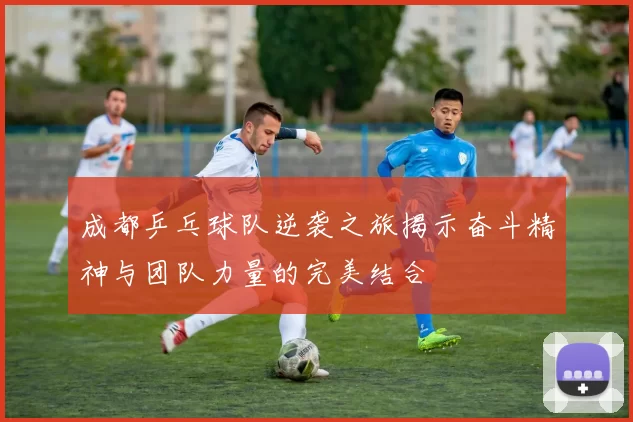 成都乒乓球队逆袭之旅揭示奋斗精神与团队力量的完美结合
