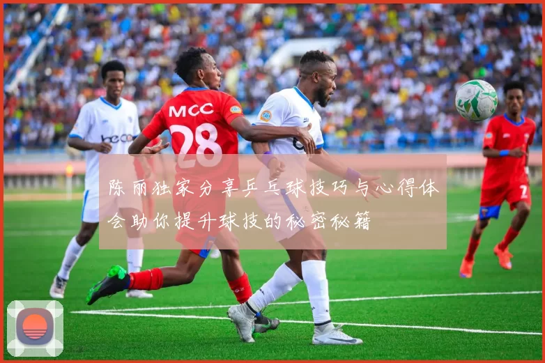陈丽独家分享乒乓球技巧与心得体会助你提升球技的秘密秘籍