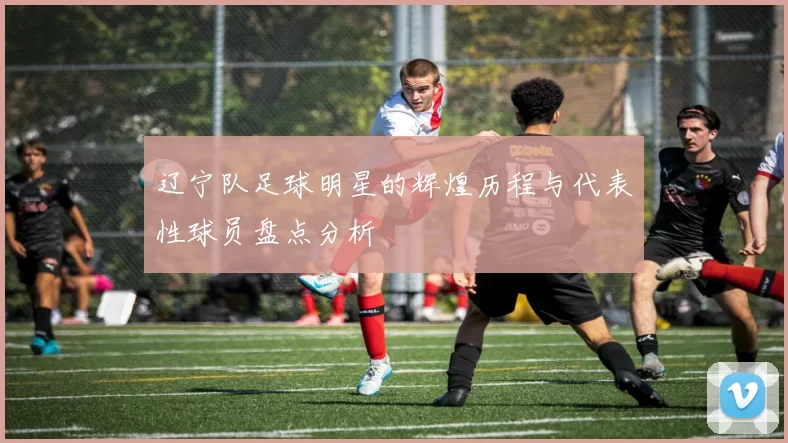 辽宁队足球明星的辉煌历程与代表性球员盘点分析